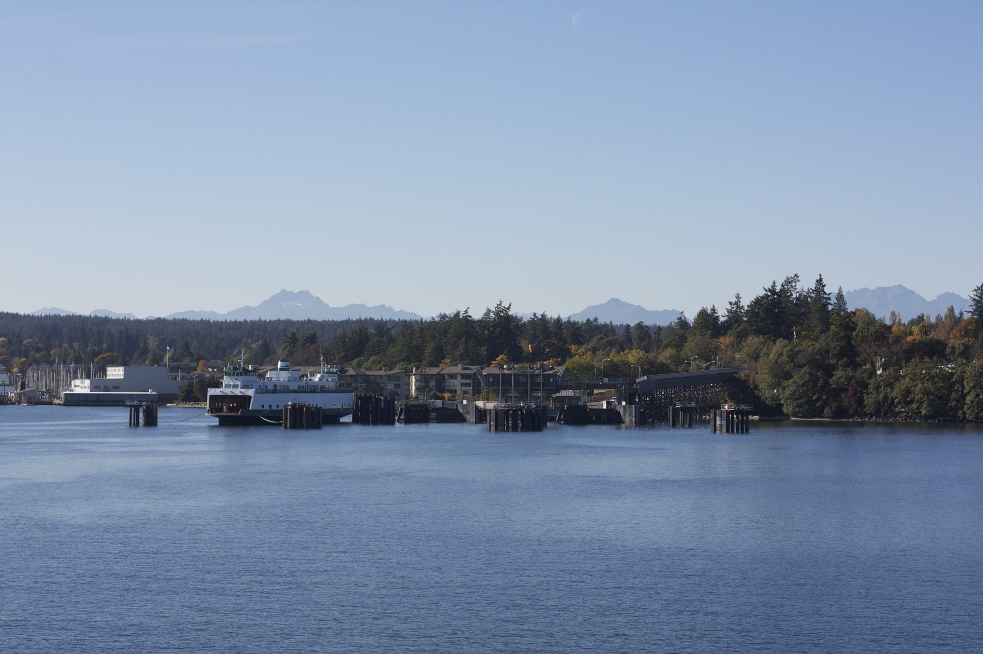 Bainbridge Island viewed from the ferry approaching Eagle Harbor, trees and shoreline under a pale sky