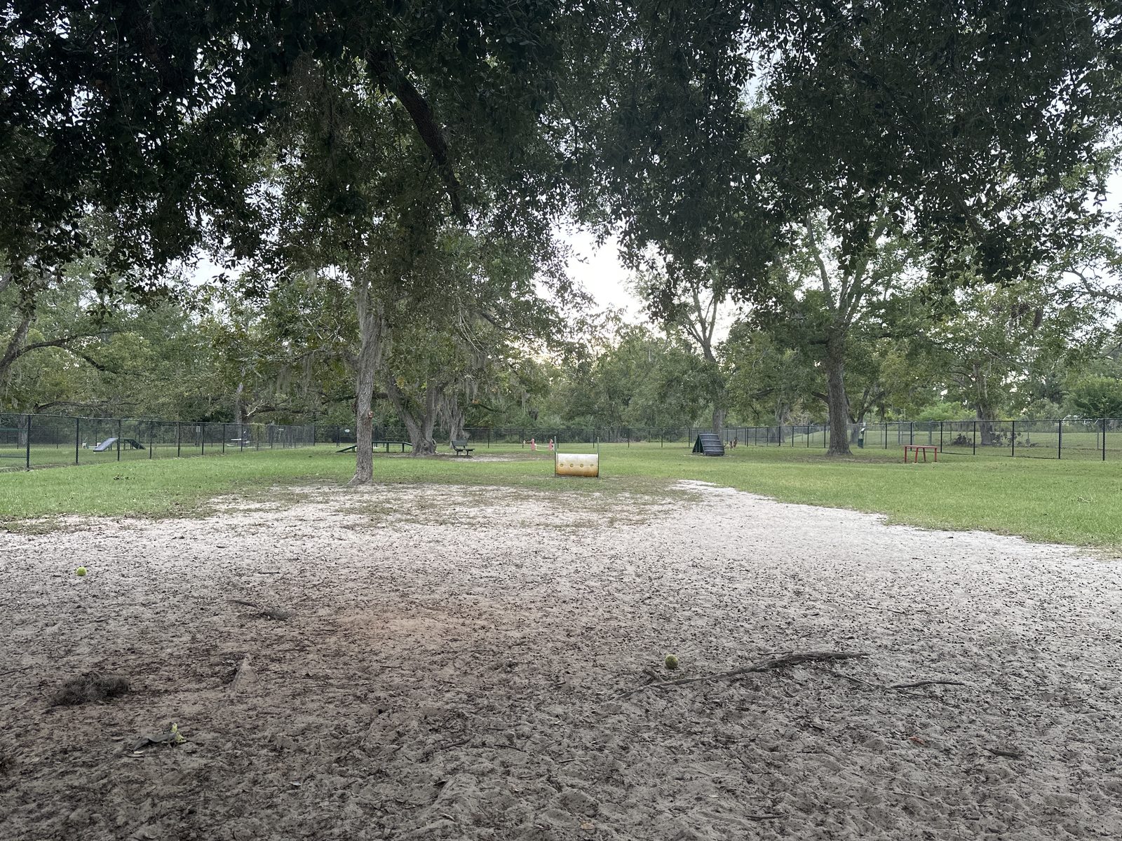 A fenced off-leash dog park with open grass and trees