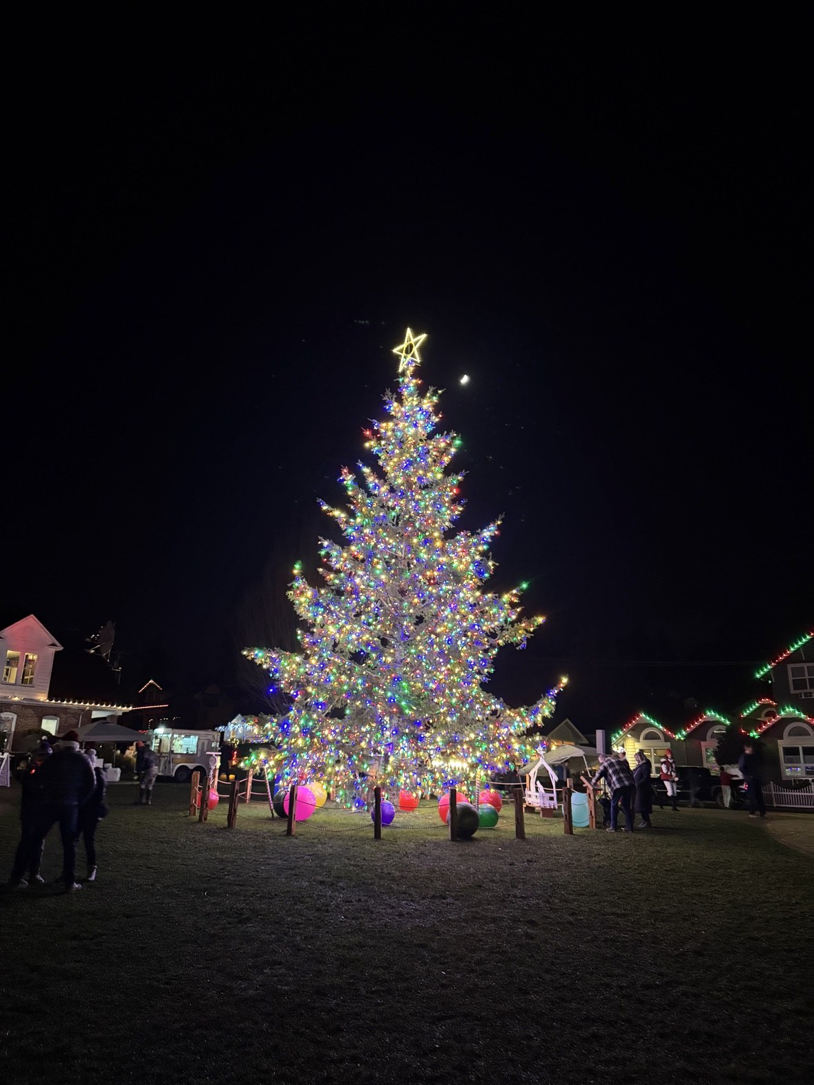 The lit Christmas tree at Skansie Park in Gig Harbor at night, with people gathered around
