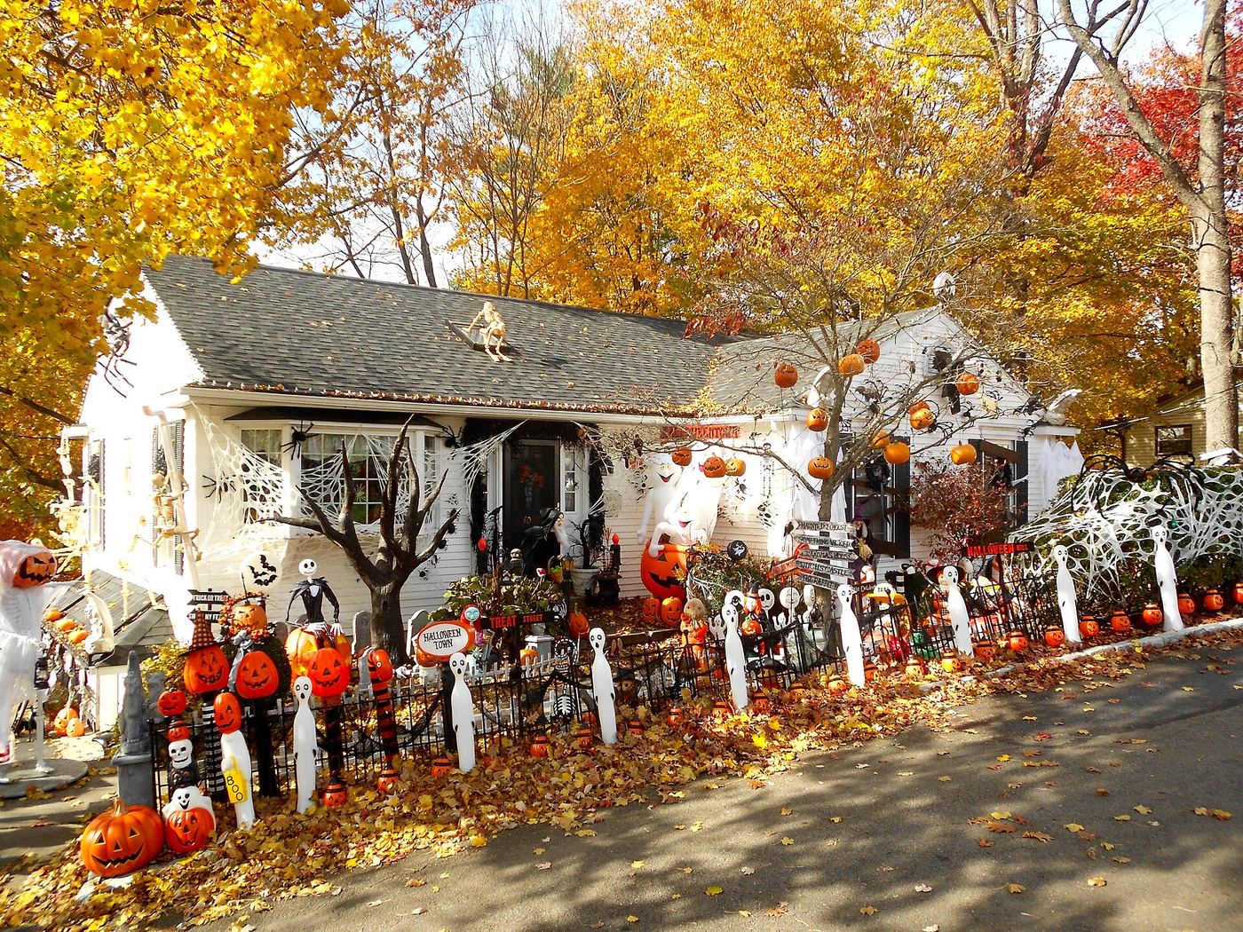 Halloween Events Near Gig Harbor 2026: Paddles and Treats