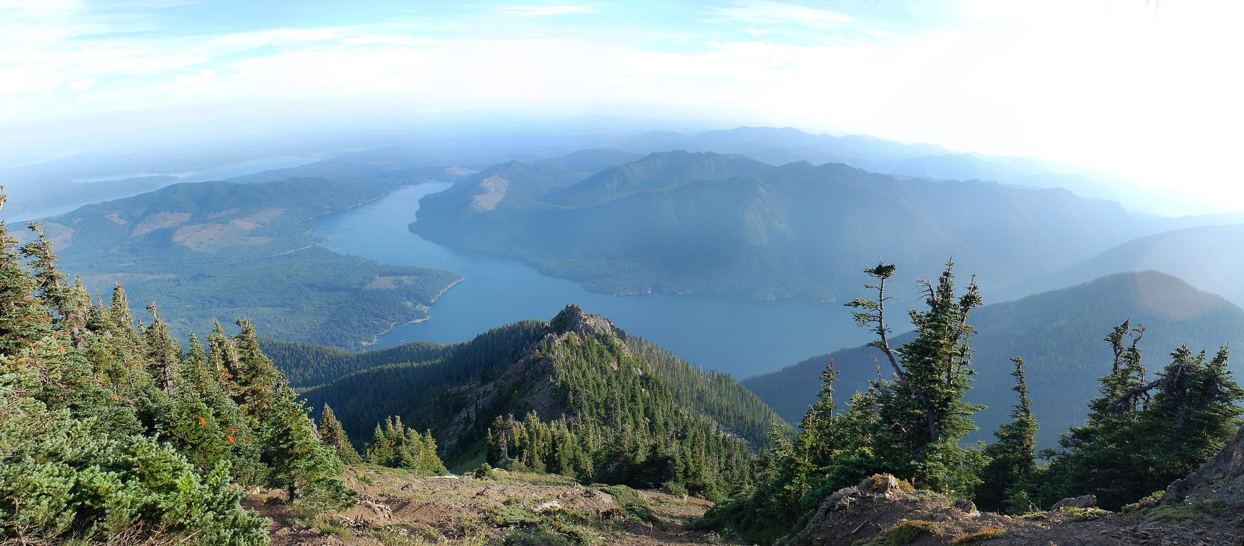 Lake Cushman winding between forested Olympic Mountain ridges, seen from Mount Ellinor