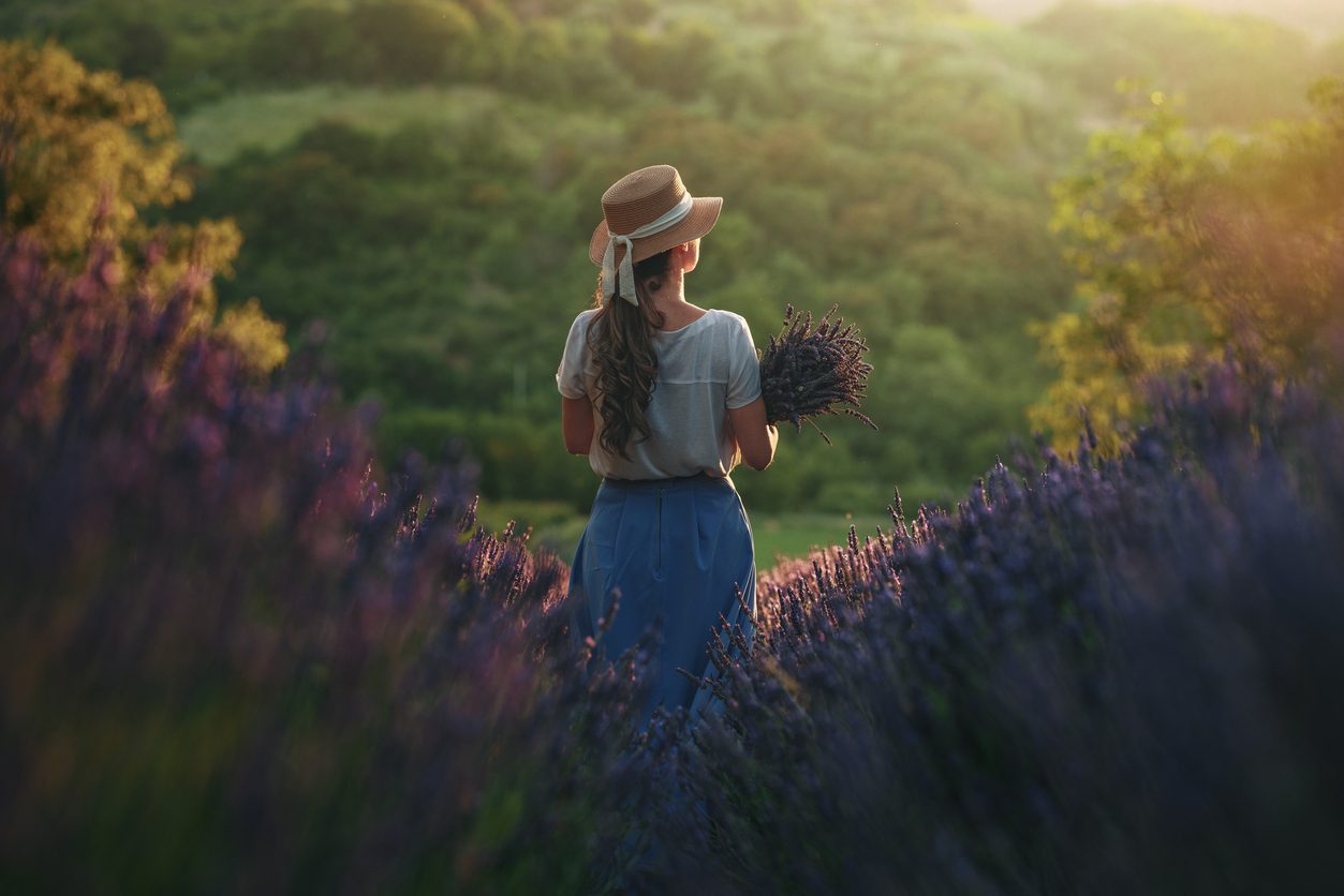 A woman in a straw hat holding cut lavender, standing in blooming lavender rows at sunset