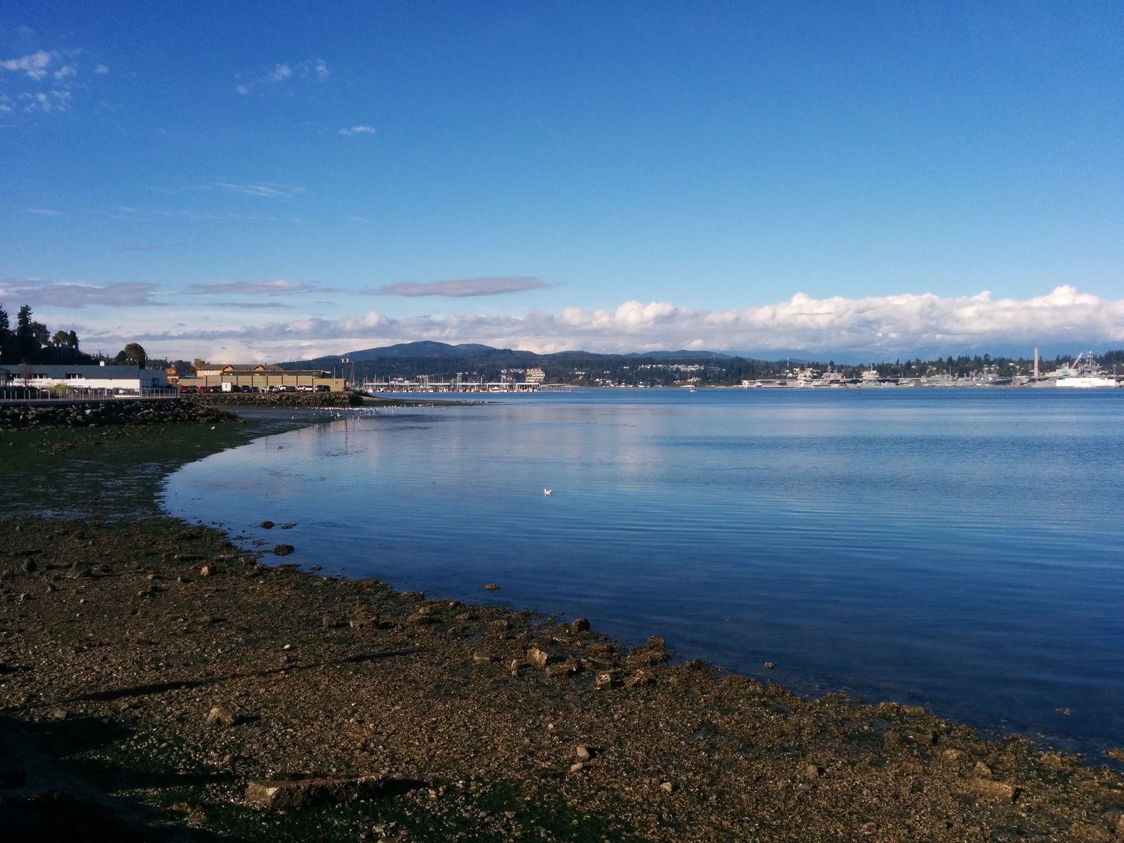 Port Orchard marina with boats and green hills across Sinclair Inlet